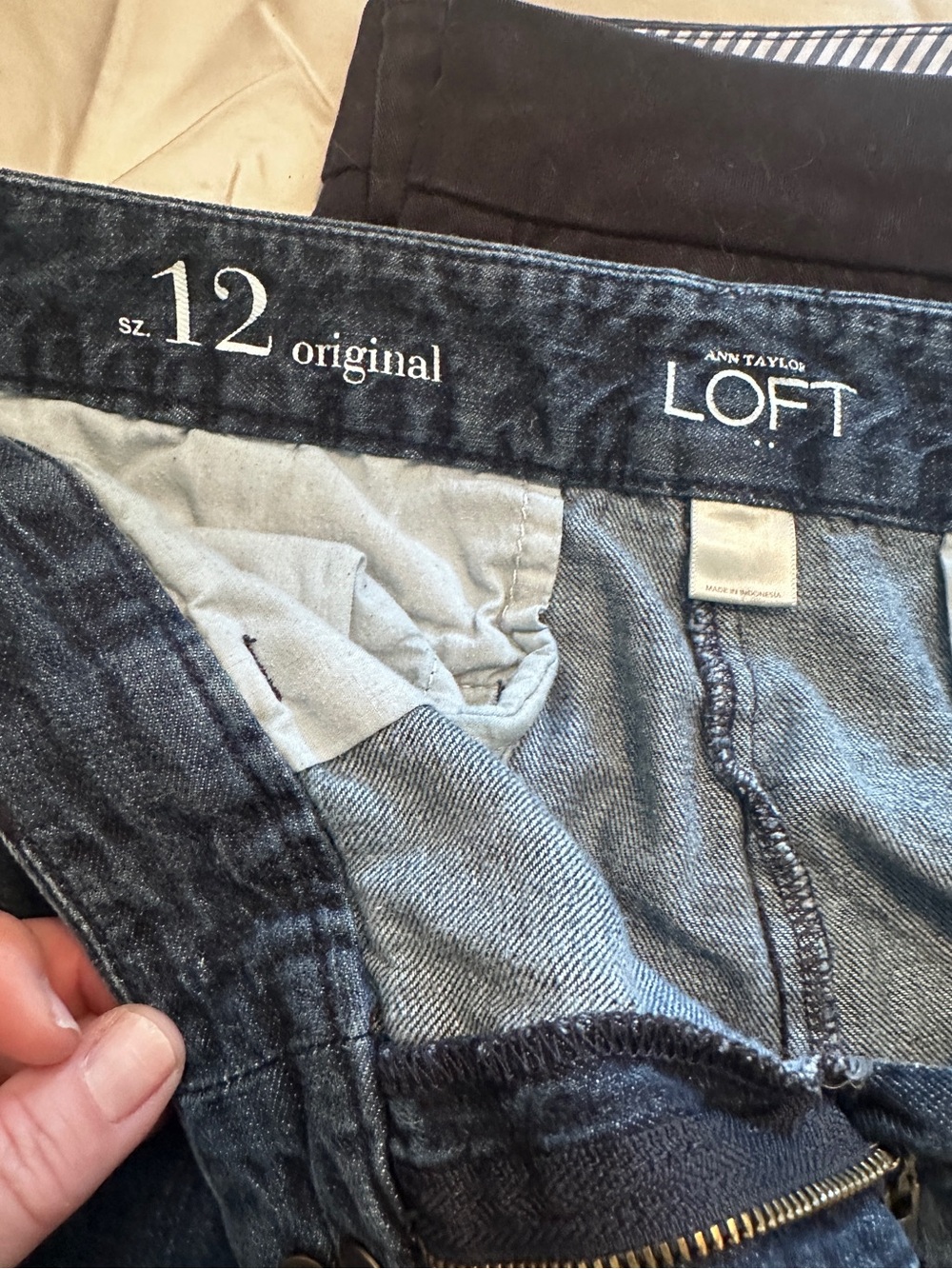 LOFT Women's Dark Blue Jean Shorts Size 12